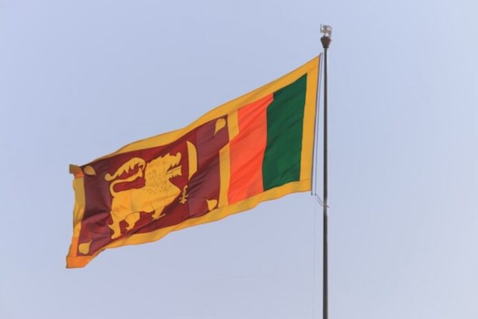 chathura-anuradha-subasinghe-bnANxRbyfEY-unsplash(1)