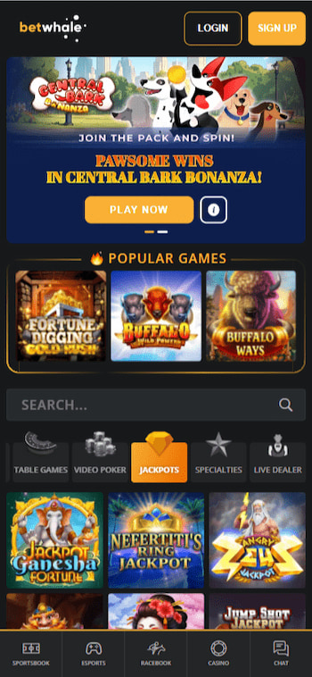 BetWhale Casino best site for progressive jackpots