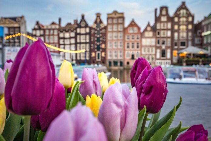 Dutch Regulator Hands Online Operator Techno Offshore $1.4M Fine