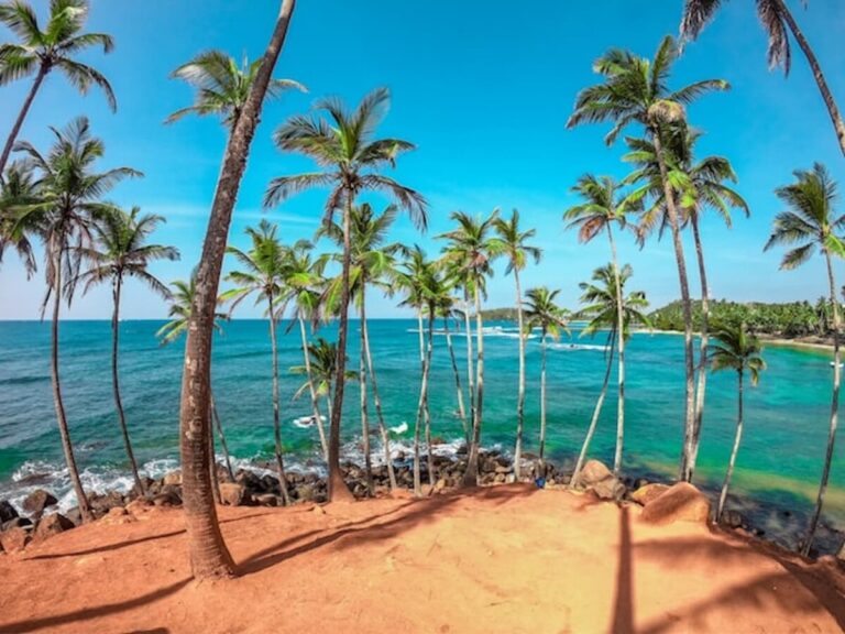 Sri Lanka Extends Vesak Ban on Liquor and Casinos to Three Days